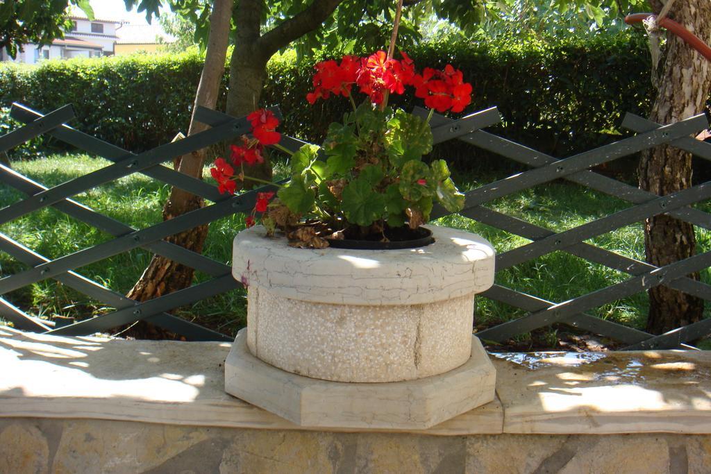 Apartments Olea Porec Phòng bức ảnh